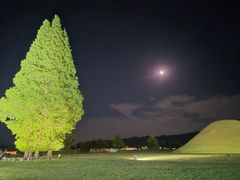New Construction on Gyeongju Hwangnidan-gil 14th image