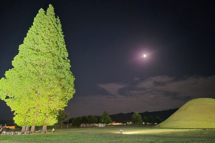 New Construction on Gyeongju Hwangnidan-gil 14th image