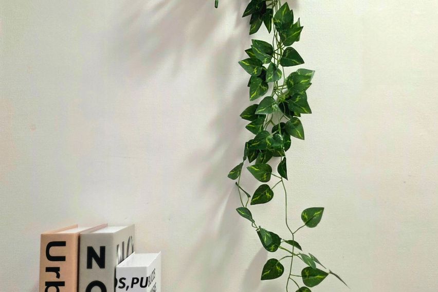 홍대역1분💓채광좋은