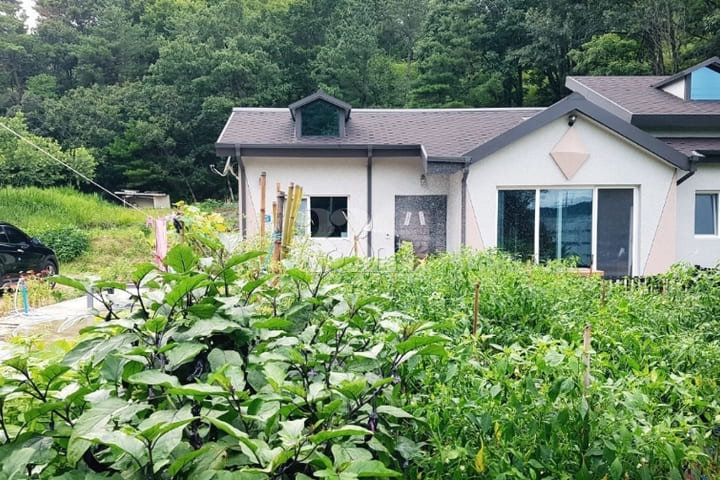 한적한 시골 편백나무집 0번째 이미지