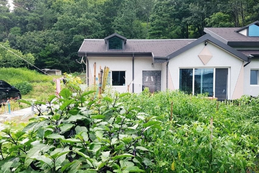 한적한 시골 편백나무집 0번째 이미지