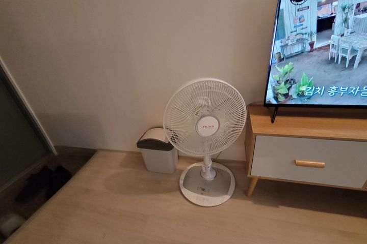 전북대병원앞 미미1 10번째 이미지