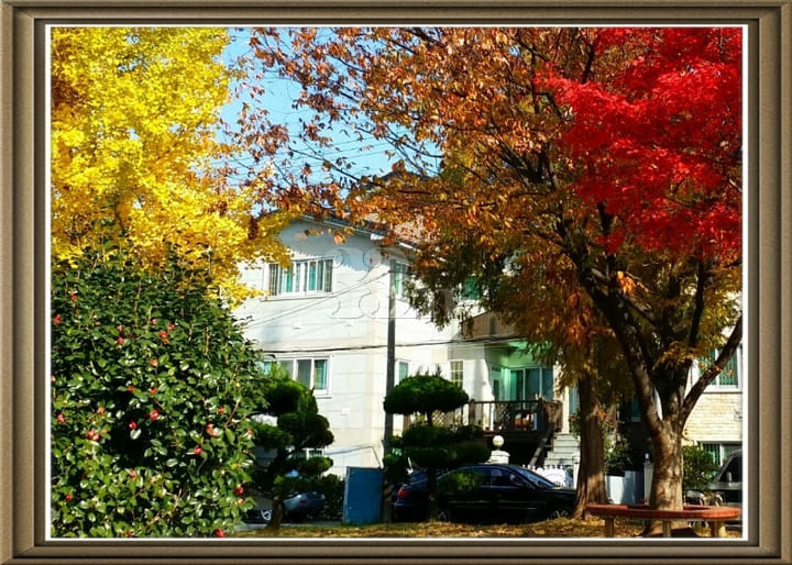 Fully-furnished Two-Room Apartment (4 beds) 방 이미지