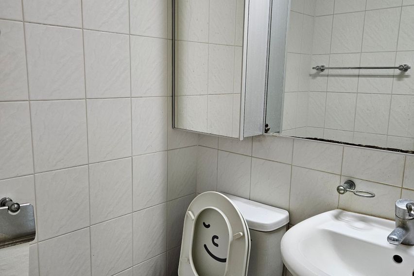 메이플_오픈특가