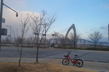 BRT앞 세종금강뷰43