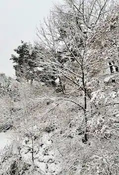 Bukhansan Maple Villa for 4 people 15th image