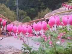 Gurye Hwangtobang Shelter/Hashimjeong 17th image