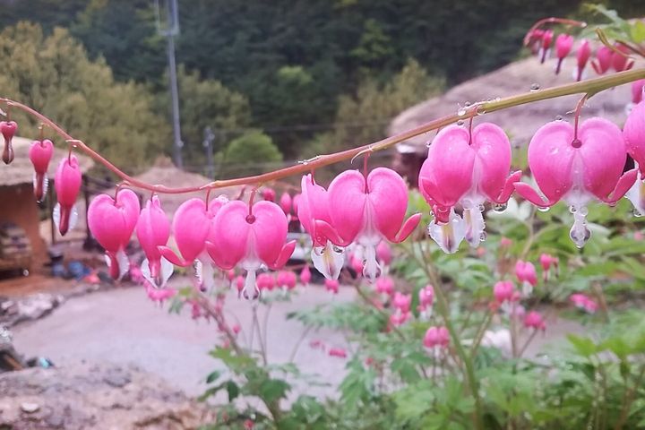 Gurye Hwangtobang Shelter/Hashimjeong 17th image