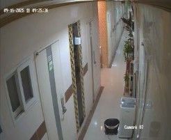 내창.1개. 10번째 이미지