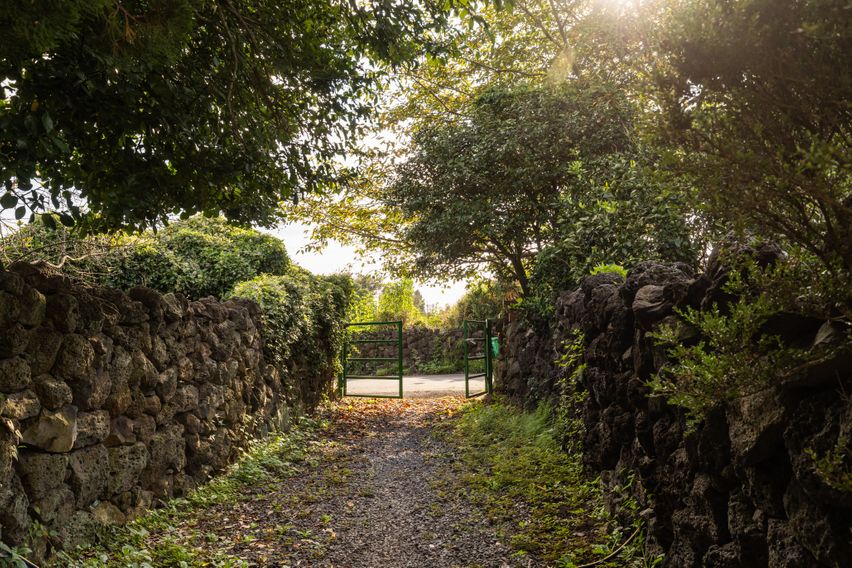 서귀포 텃밭 단독주택 