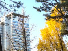 Samsung Medical Center / Daecheong Station 2- 14th image