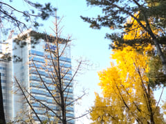 삼성서울병원/대청역2룸 14번째 이미지