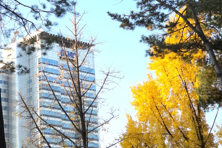 대청역/삼성병원/대치 14번째 이미지