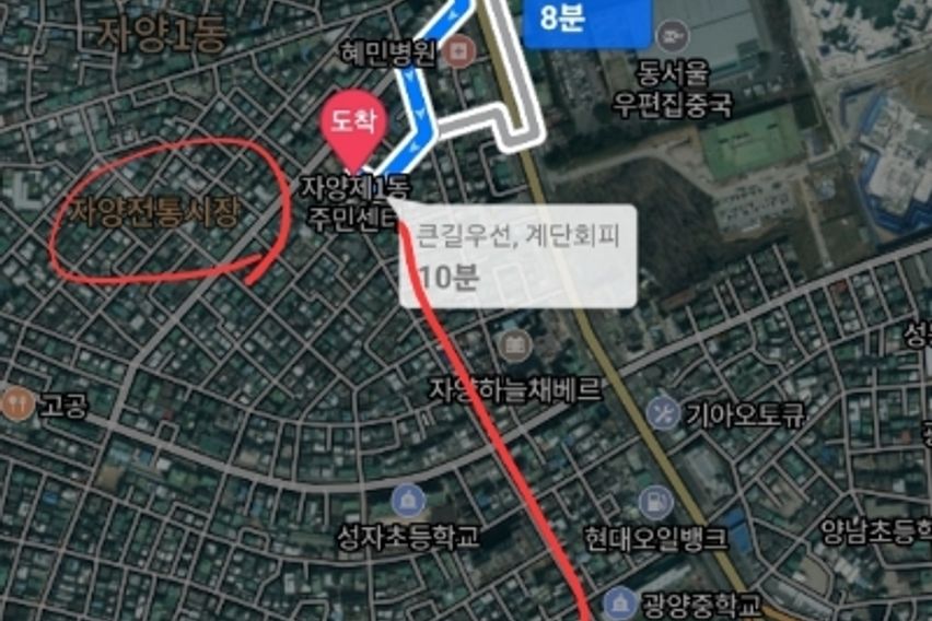 2호선 직장인 학생추천