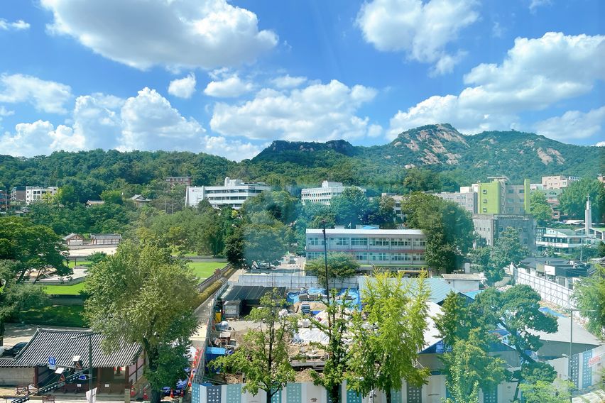 광화문🇰🇷경복궁3분풀옵