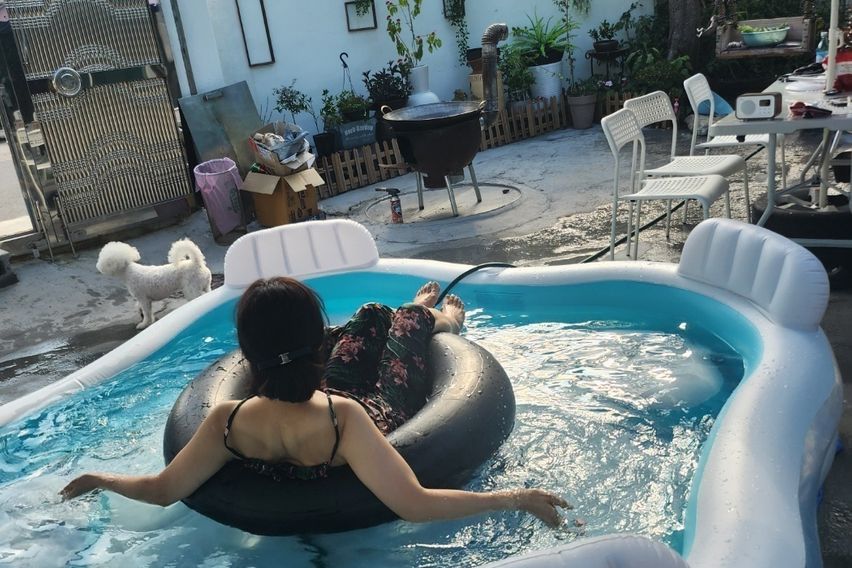 포항 홍시네 앞마당