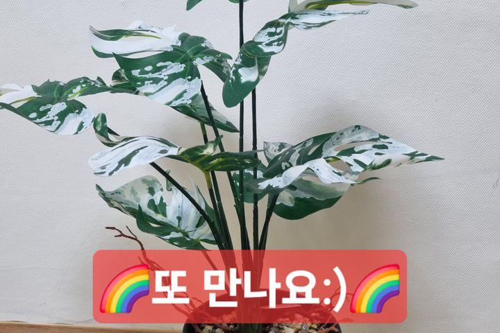 ☘️행운방☘️ 17번째 이미지