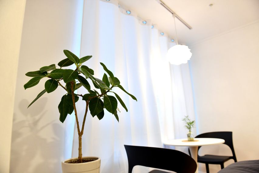 둔산의 중심 히스토리3