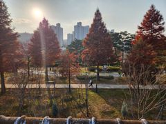 철길숲 럭셔리2 14번째 이미지