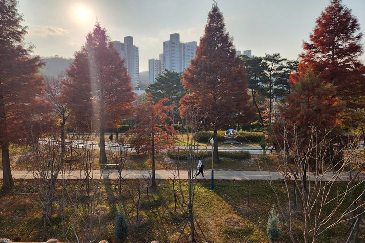 철길숲 럭셔리2 14번째 이미지