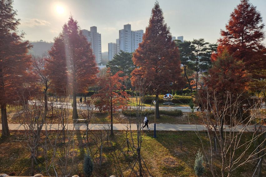 철길숲 럭셔리1 14번째 이미지