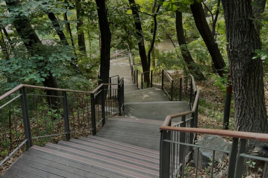 포레스트스테이 17번째 이미지