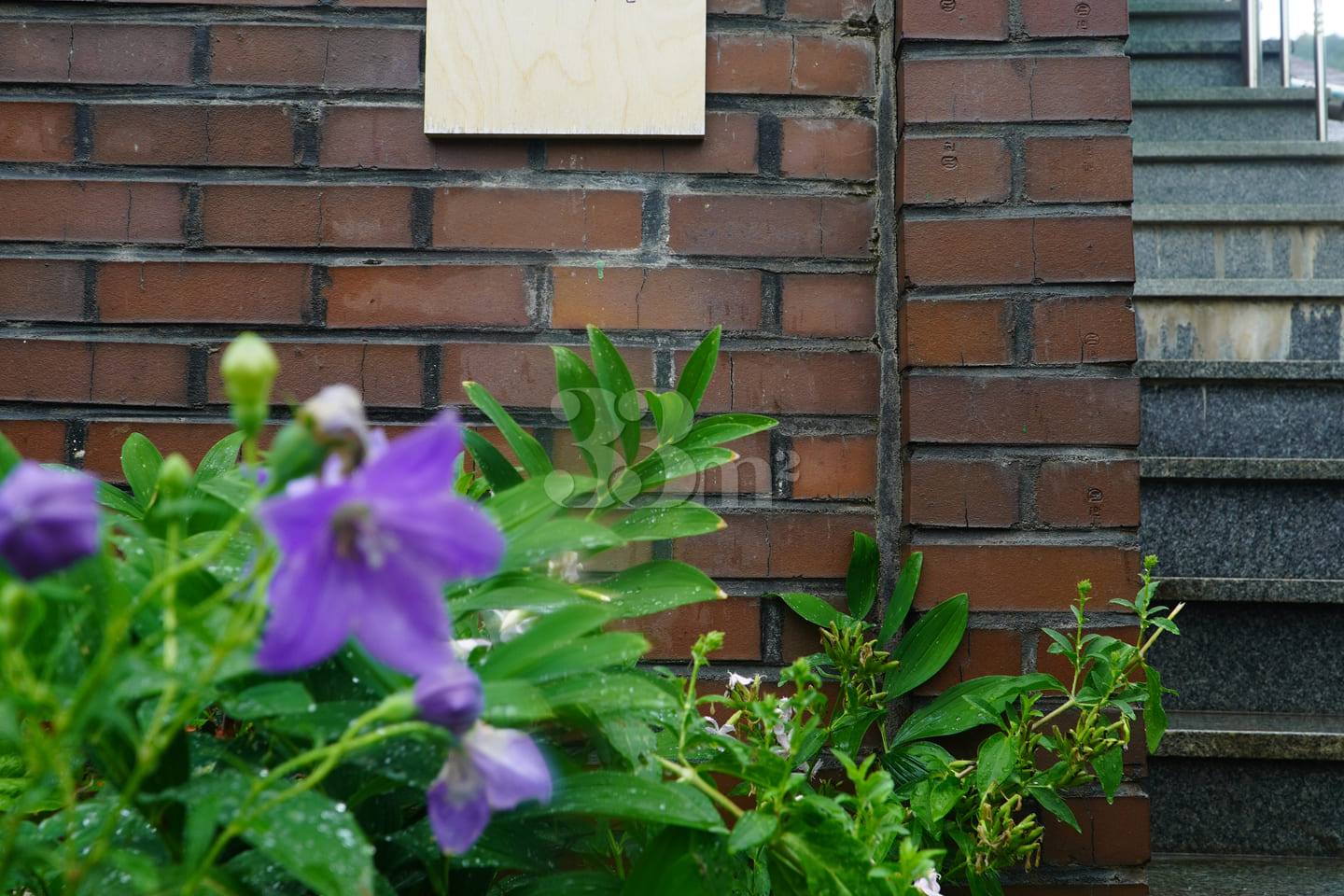Willowville, Unit 205 9th image