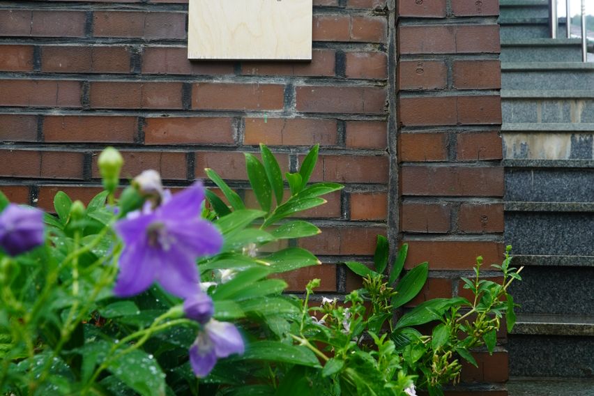 버드나무빌 205호 9번째 이미지