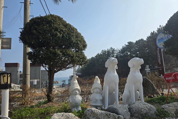 103호 2번째 이미지