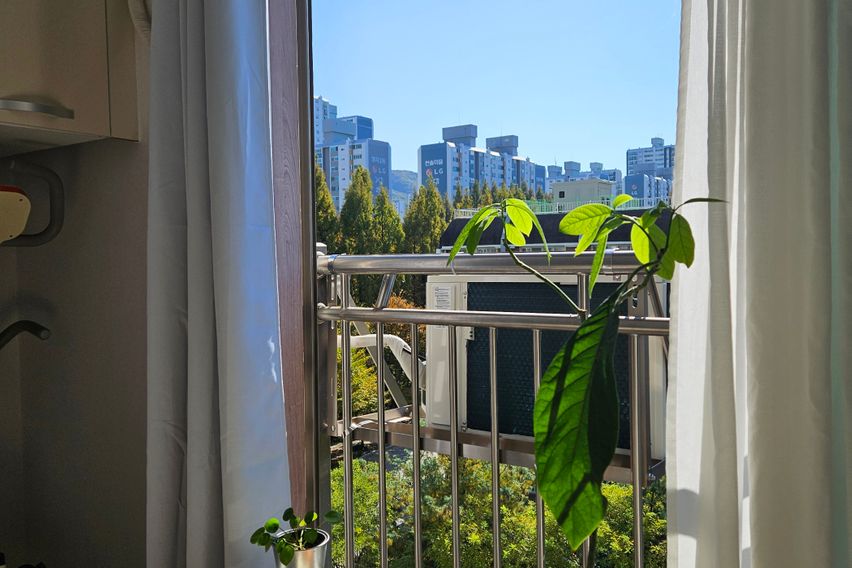 분당정자판교17평 건조 8번째 이미지