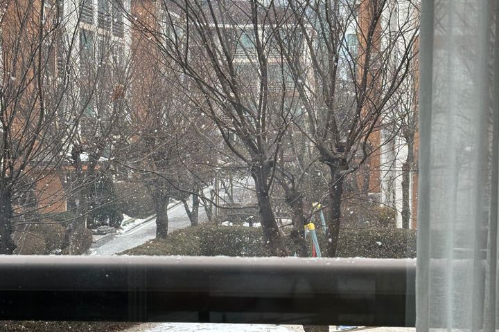 주엽역 예쁜 정원뷰 9번째 이미지