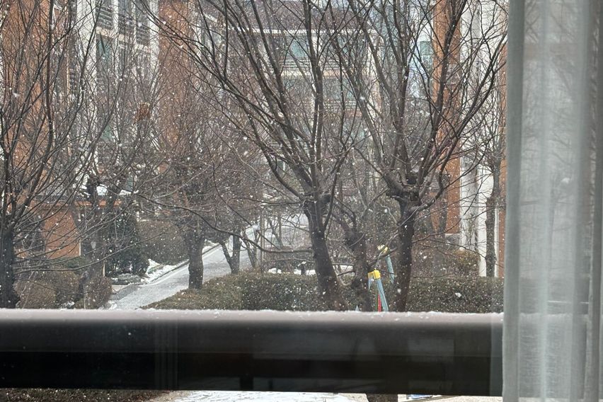 주엽역 예쁜 정원뷰