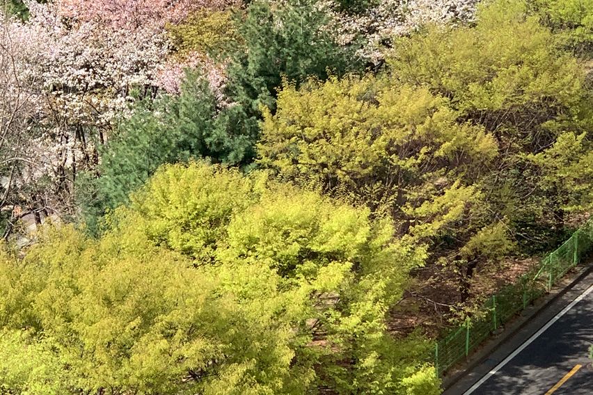 더블역세권 로얄층 뻥뷰 12번째 이미지