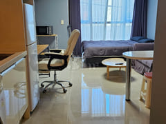 Spacious new studio apartment near Dusil Stat 5th image