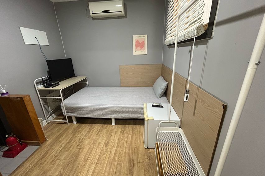 오드 스탠다드 103