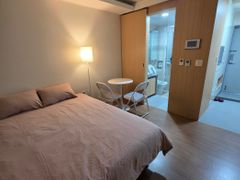 Lux 300 N 1번째 이미지