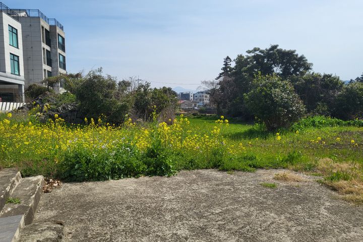 제주국제학교 인근 독채 9번째 이미지