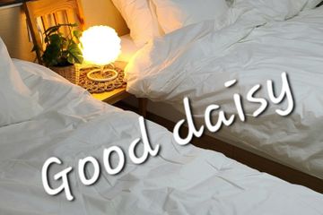 사당이수 방배 넓은투룸