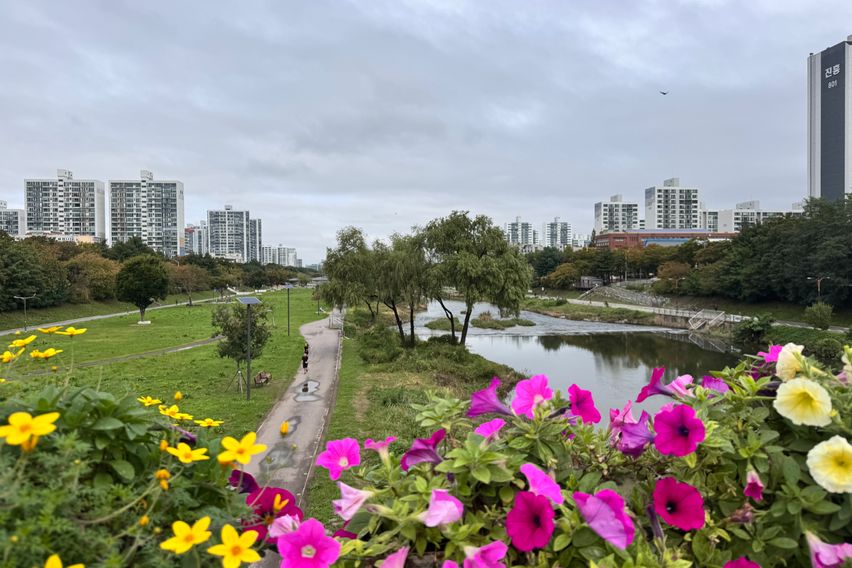 분당서현역🩷45평형2룸