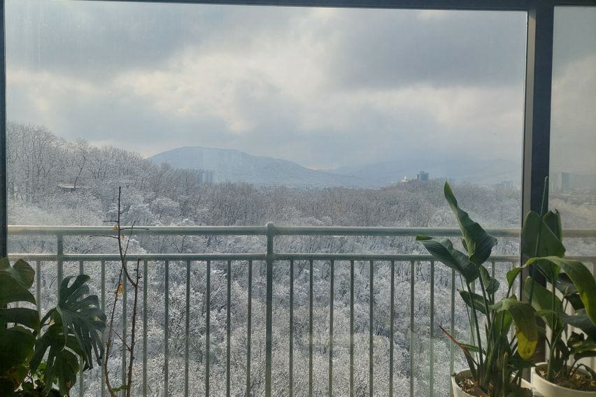 대치 도곡 46평아파트 0번째 이미지