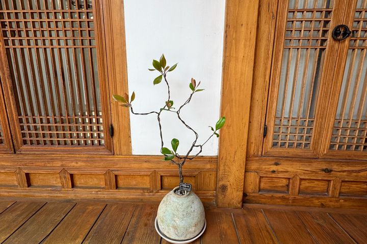 삼청동 한옥전시공간 5번째 이미지