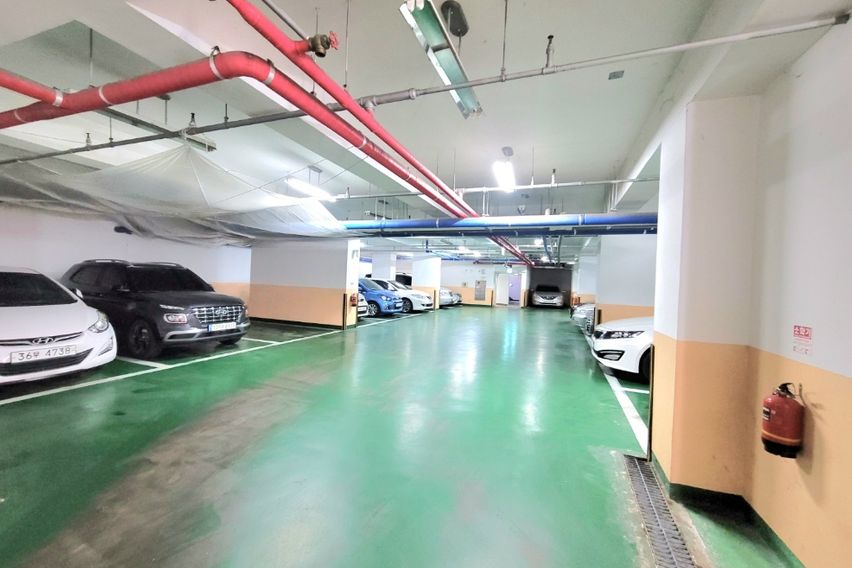 풀옵션 굿데이 러브