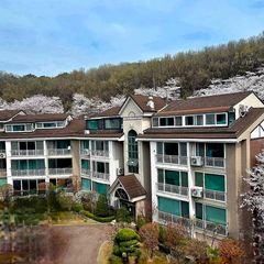 정발산 자연과 새소리 방 이미지