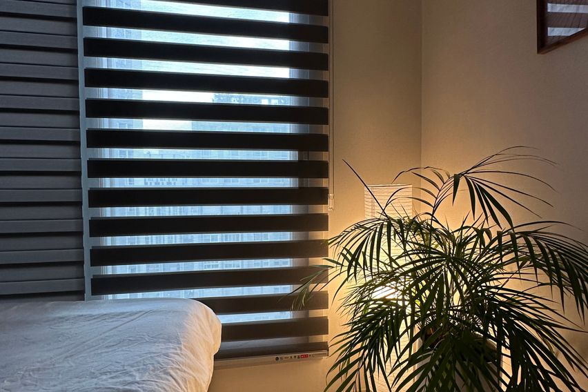 코지데이(미사역1분)