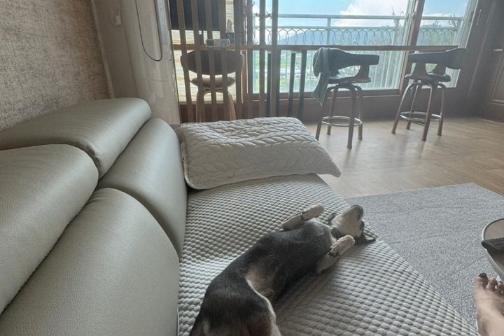 편의시설 가까히있응 3번째 이미지