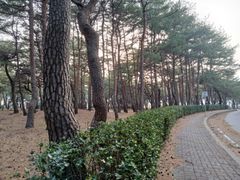 Unit 105, Donghwa Villa 6th image