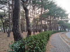 Unit 105, Donghwa Villa 6th image