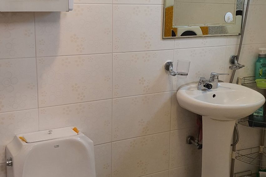 대구 이월드,가톨릭의대