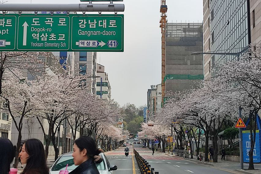 강남역삼역내창미니룸9