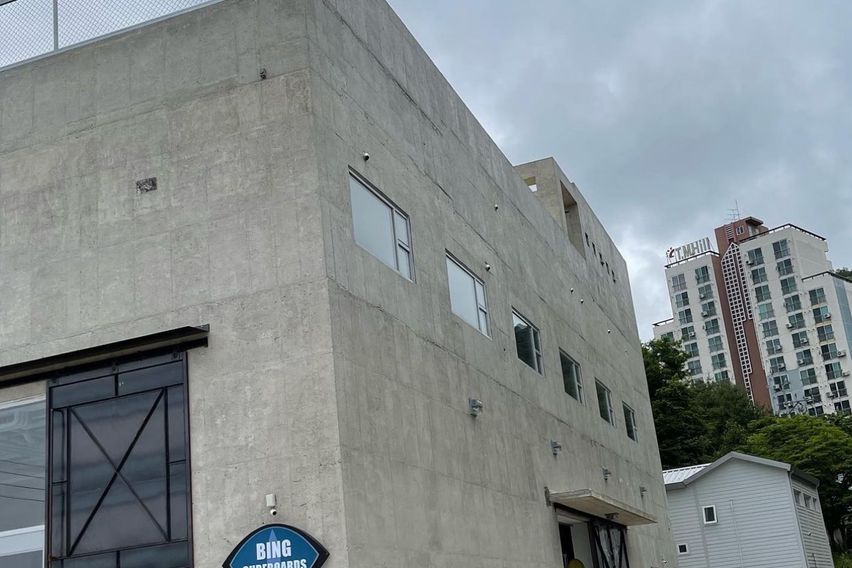 바닷가/넷플/숲세권애견